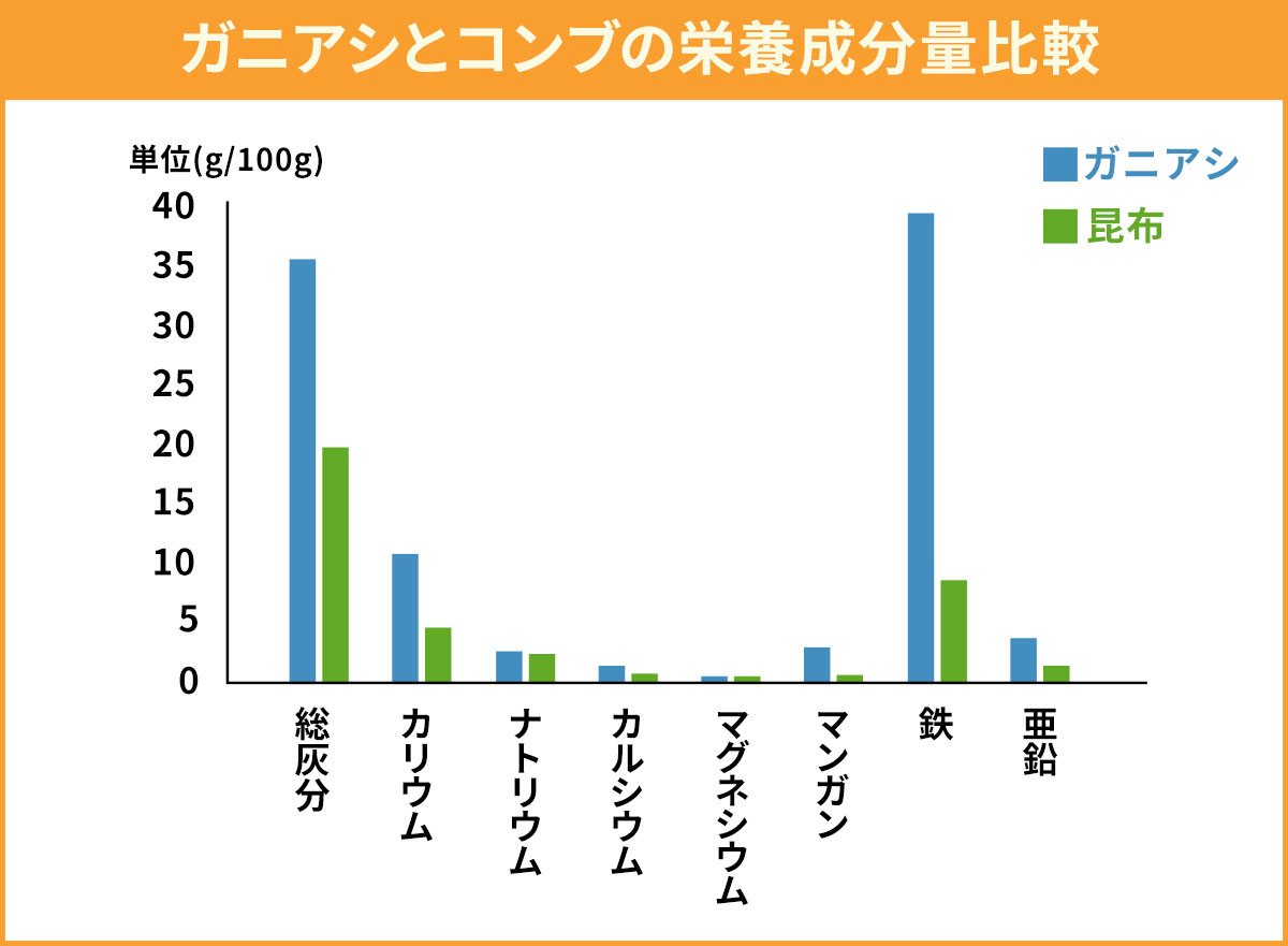 根コンブの下の注目素材